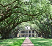 Oak Alley Plantation 